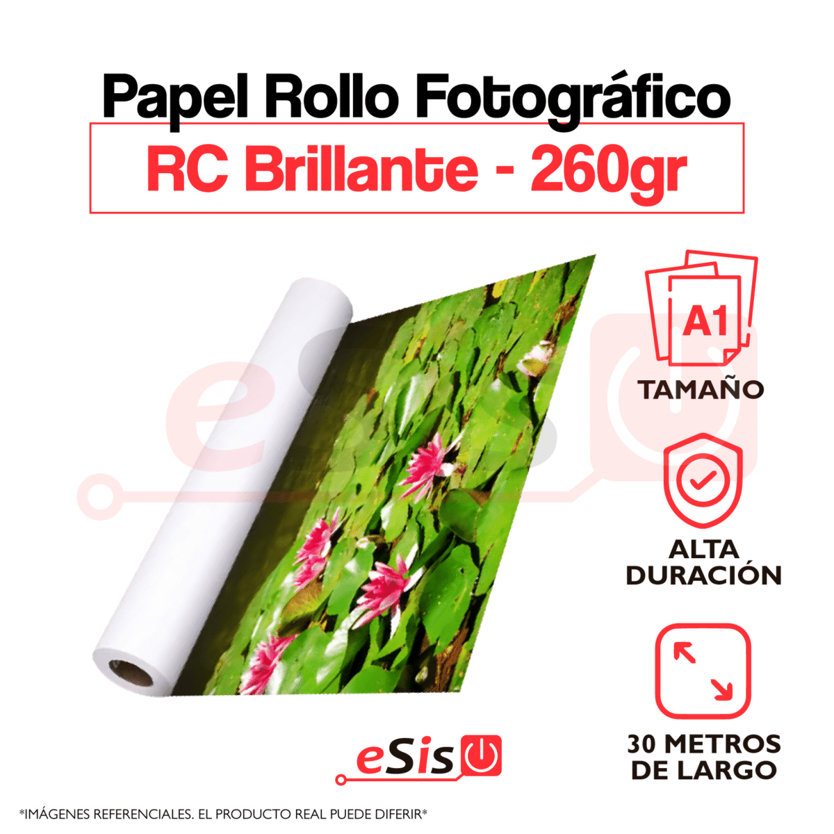 Rollo de Papel Fotográfico RC BRILLANTE - Tamaño A1 - 260 gramos - 30 metros de largo - Alta Duración - Imagen 1